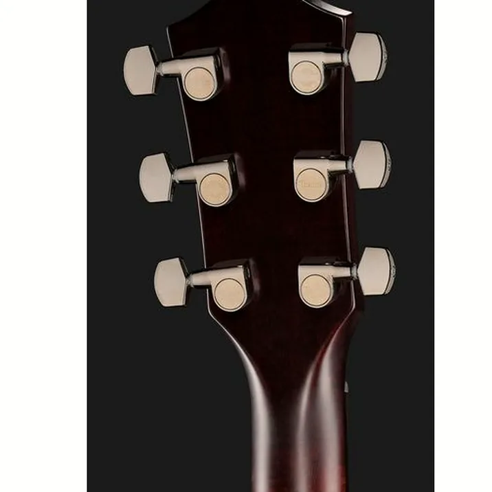 Taylor Custom #2: C17e B5002