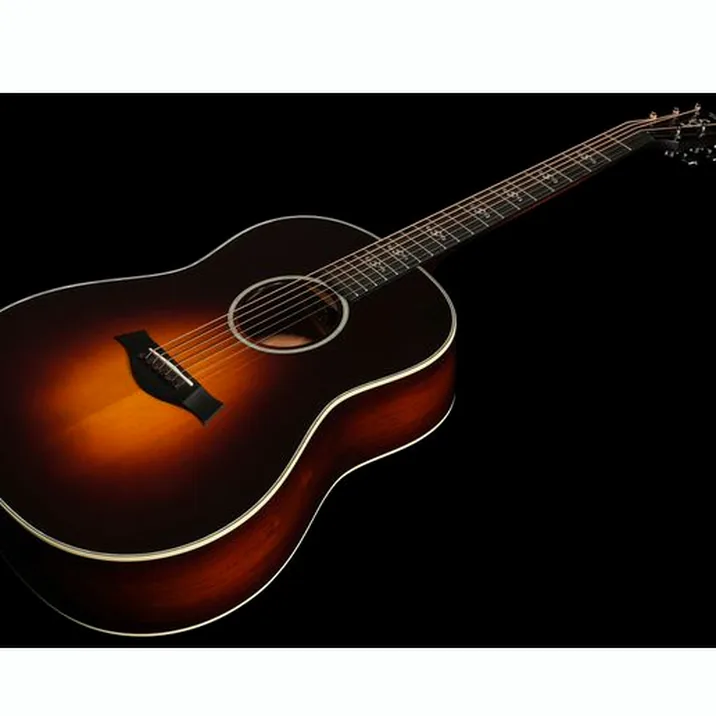 Taylor Custom #2: C17e B5002