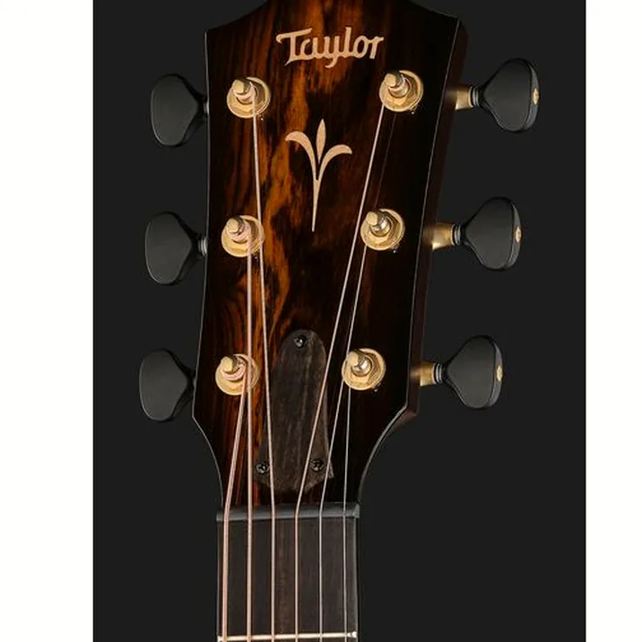 Taylor Custom #20: C18ce B5020