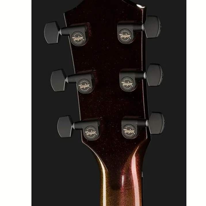 Taylor Custom #26: C14ce B5026