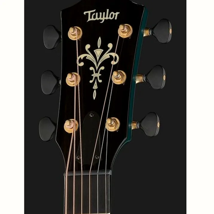 Taylor Custom #33: C18e B5033