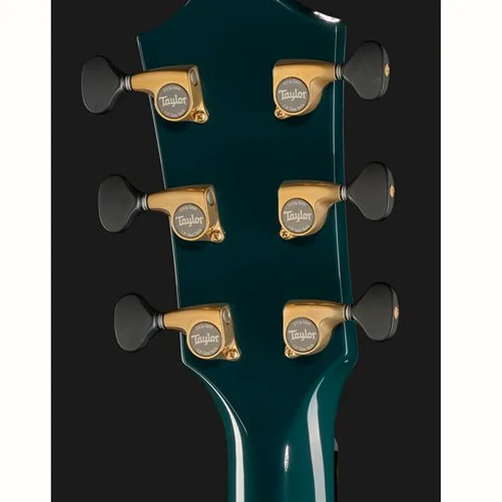 Taylor Custom #33: C18e B5033
