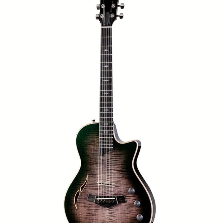 Taylor Custom #33 T5z