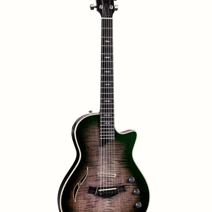 Taylor Custom #33 T5z