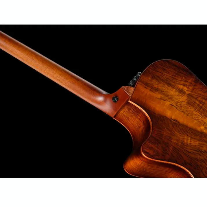 Taylor Custom #36: The Bengal