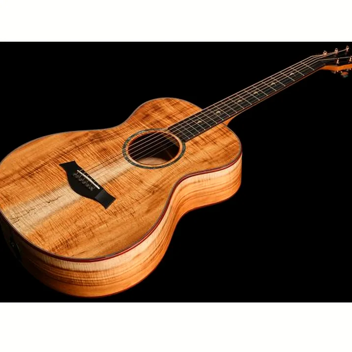 Taylor Custom #40: C22e 12-Fret B5040