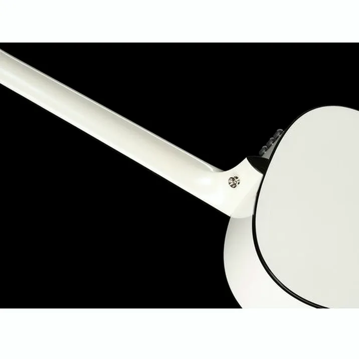 Taylor Custom #5: C17e B5005