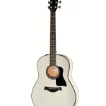 Taylor Custom #5: C17e B5005 : Prueba de sonido, ventajas y desventajas