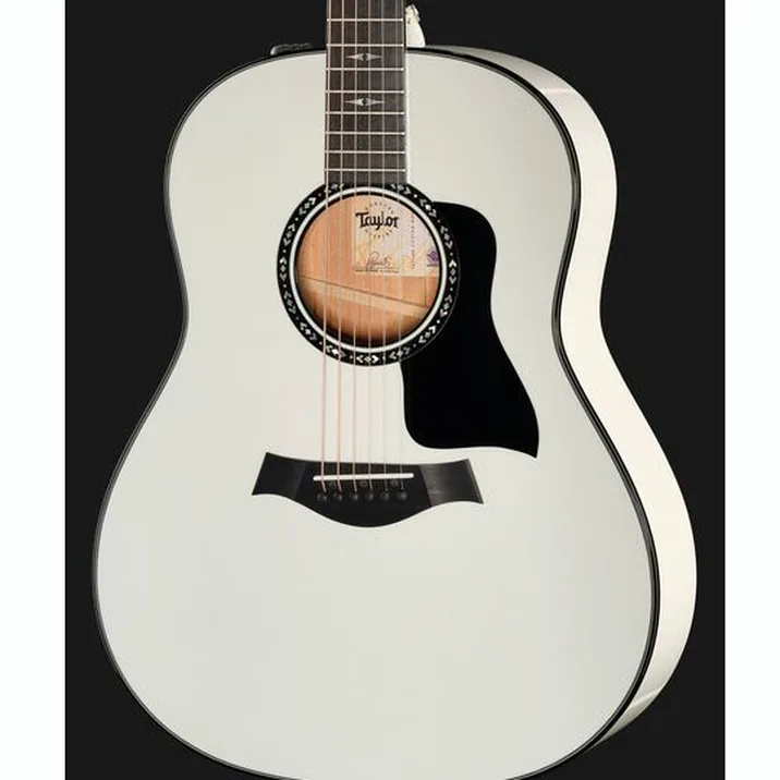 Taylor Custom #5: C17e B5005