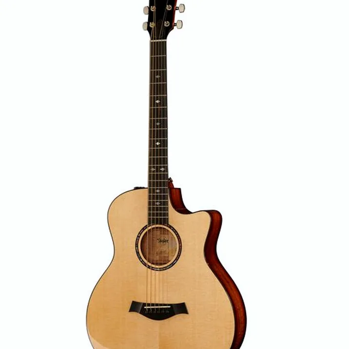 Taylor Custom GSce-LTD Baritone 6