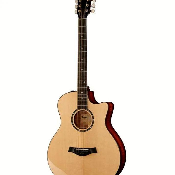 Taylor Custom GSce-LTD Baritone 8