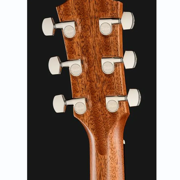 Taylor Gold Label 510e