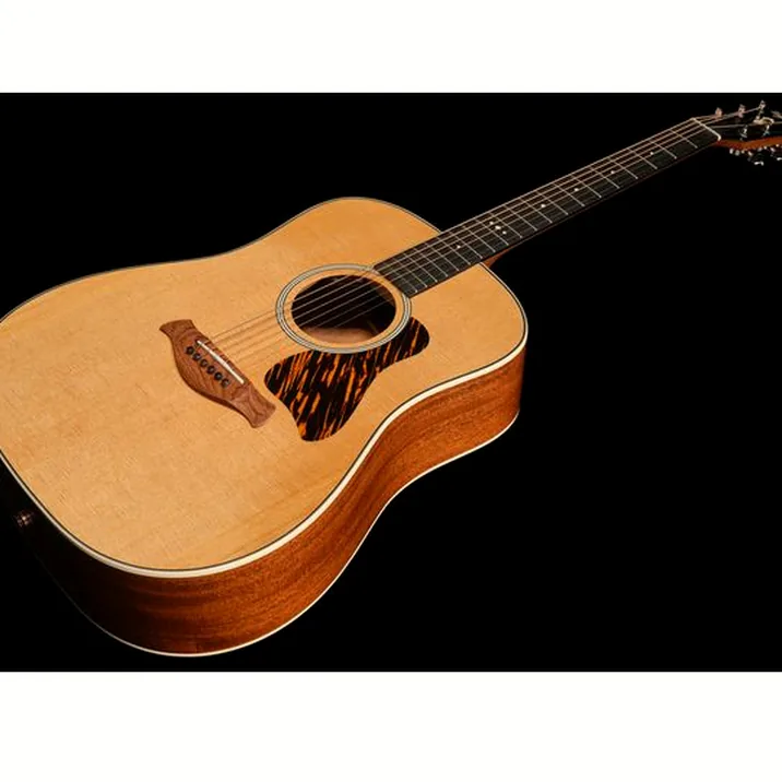 Taylor Gold Label 510e