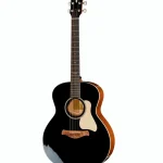 Taylor Gold Label 514e Blacktop : Ventajas, inconvenientes y opiniones