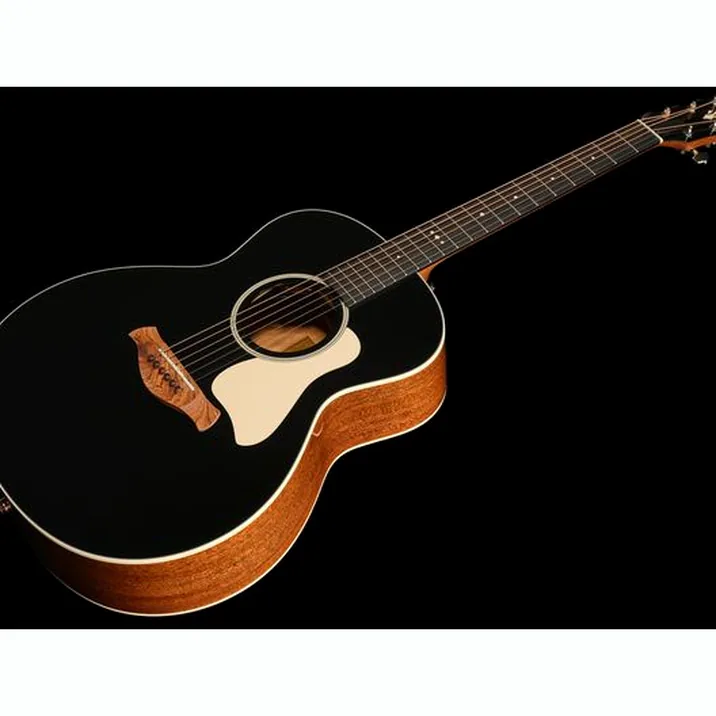 Taylor Gold Label 514e Blacktop