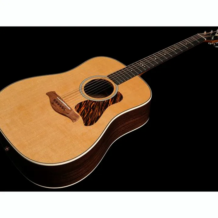Taylor Gold Label 710e