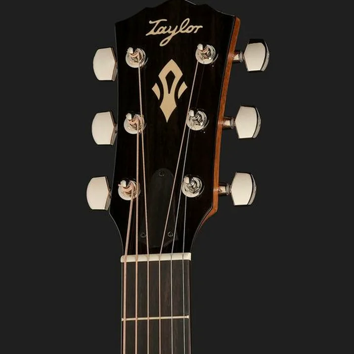 Taylor Gold Label 717e SB Cream