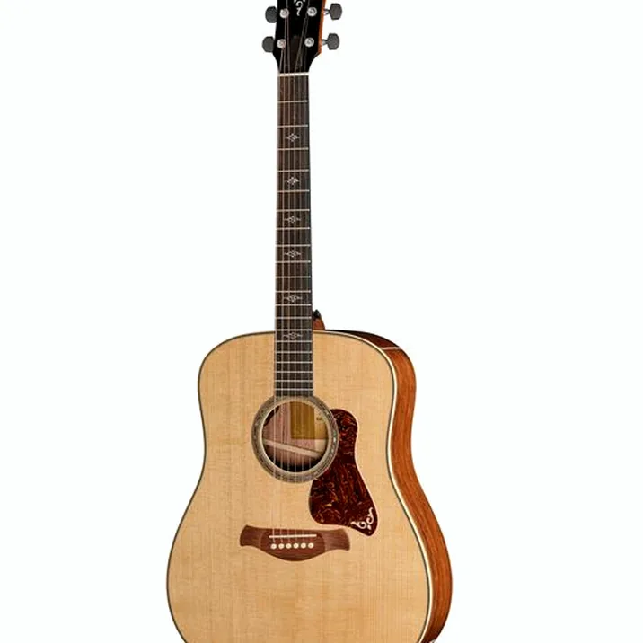 Taylor Gold Label 810e