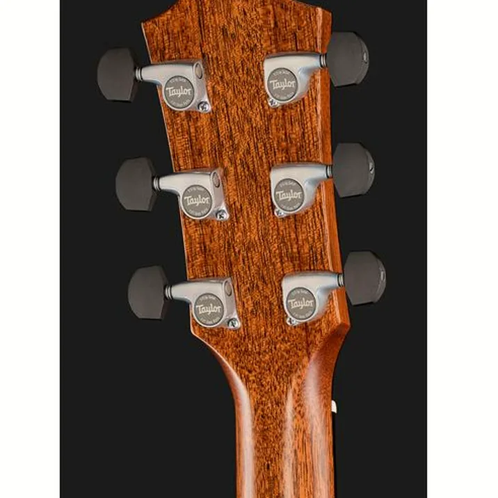 Taylor Gold Label 810e