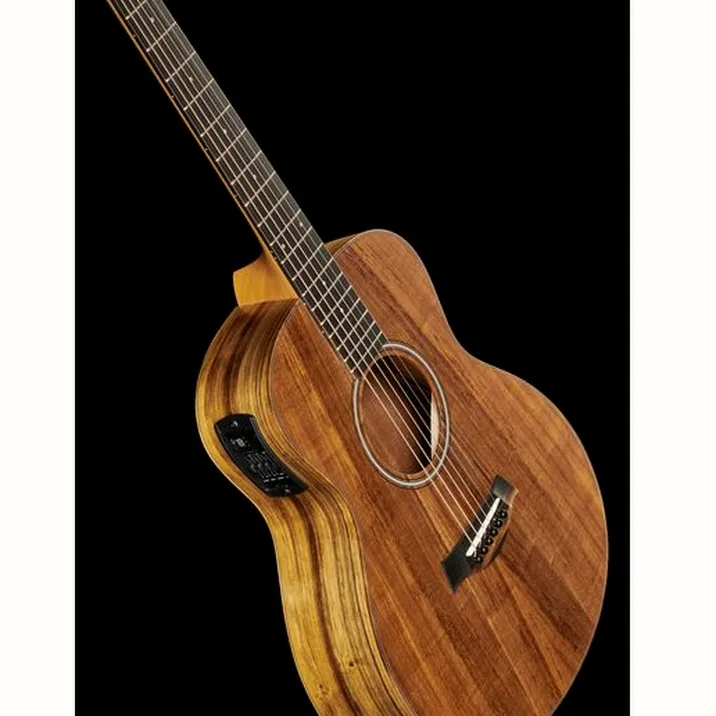 Taylor Gs Mini E Koa