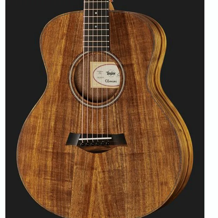 Taylor Gs Mini E Koa