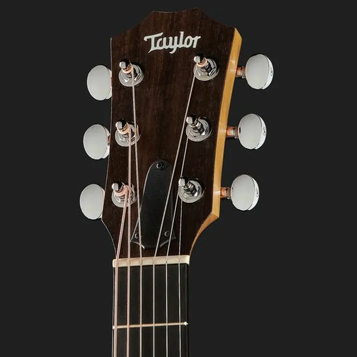 Taylor Gs Mini E Koa