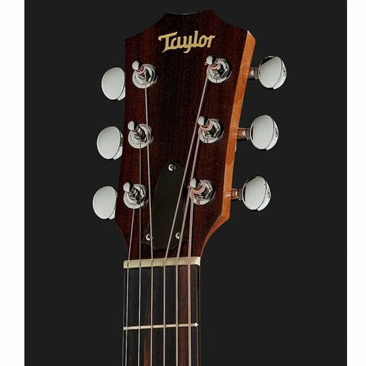 Taylor Gs Mini E Koa Lh