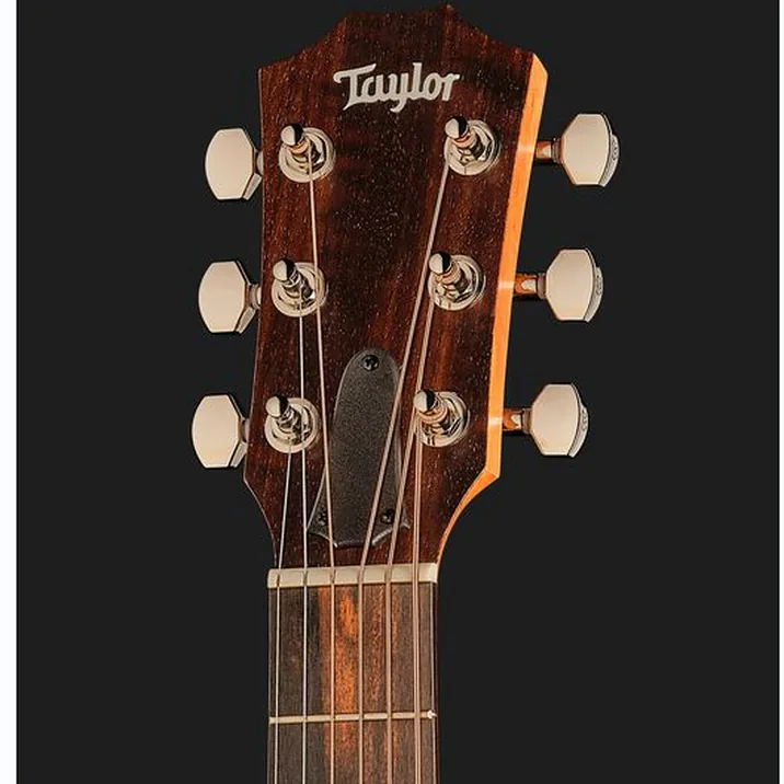 Taylor GS Mini-e Rosewood Plus LH