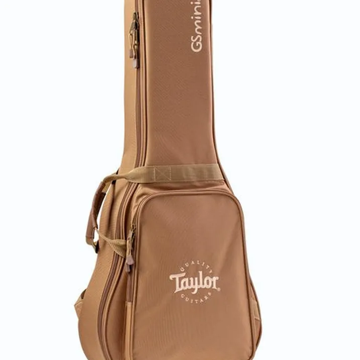 Taylor GS Mini-e Special Edition CaBu