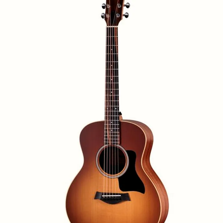 Taylor GS Mini-e Special Edition HB