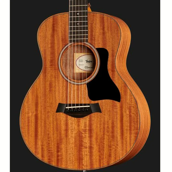 Taylor Gs Mini Mahogany