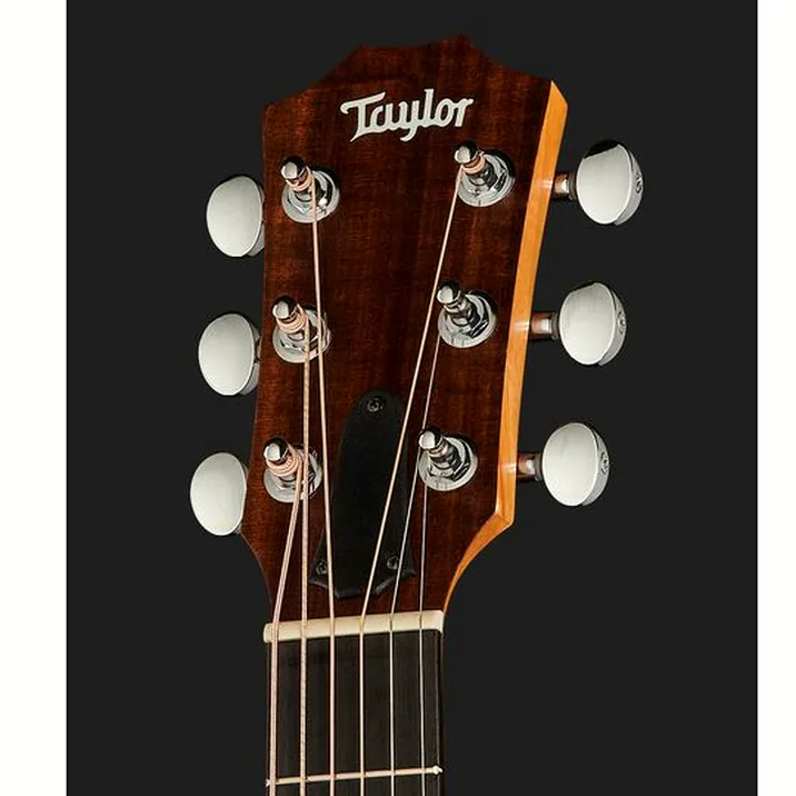 Taylor Gs Mini Mahogany