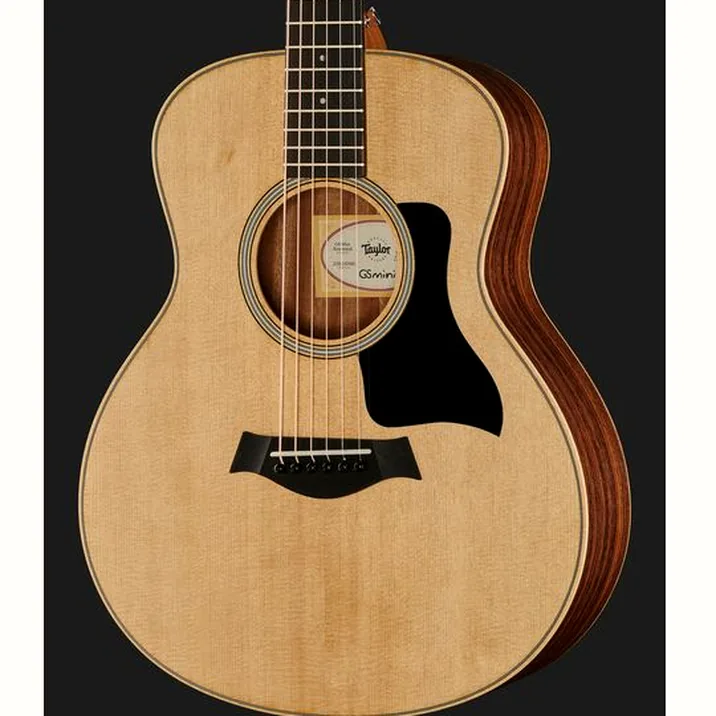 Taylor Gs Mini Rosewood