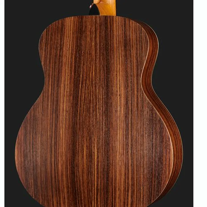 Taylor Gs Mini Rosewood