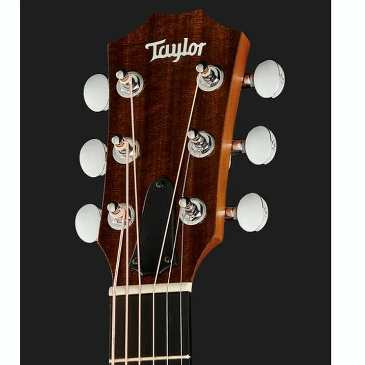 Taylor Gs Mini Rosewood