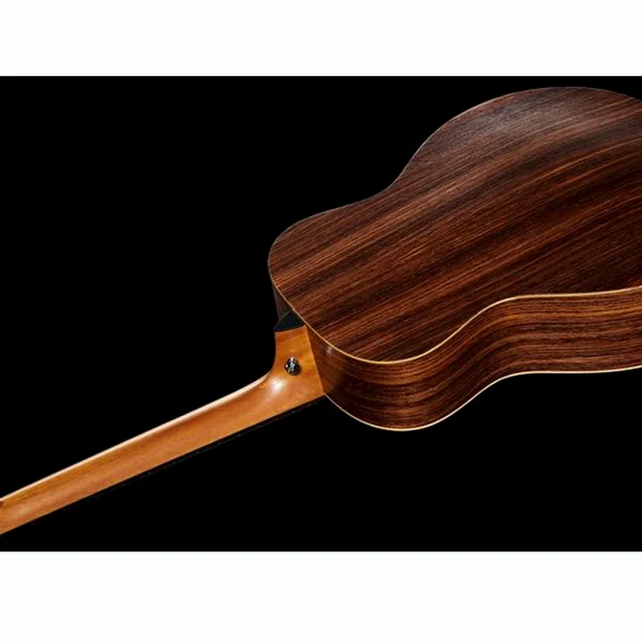 Taylor Gs Mini Rosewood