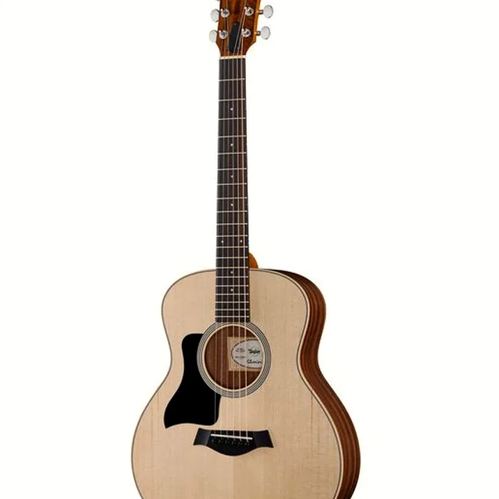 Taylor GS Mini Rosewood LH