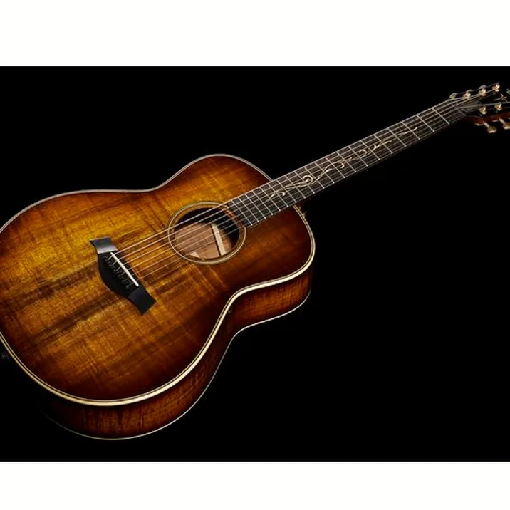 Taylor GT K21e