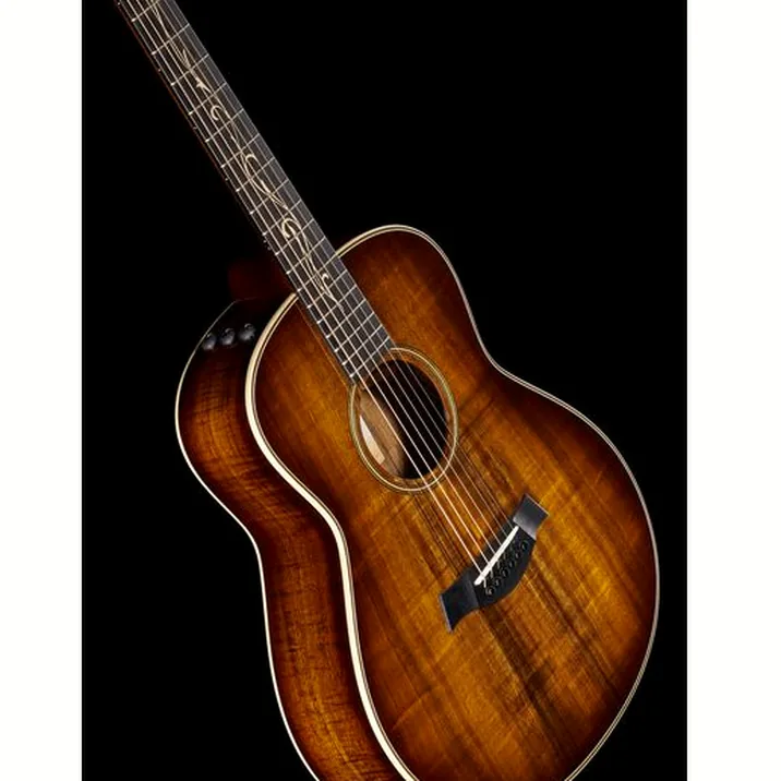 Taylor GT K21e