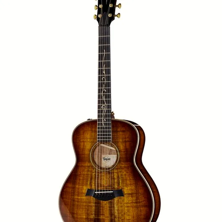Taylor GT K21e
