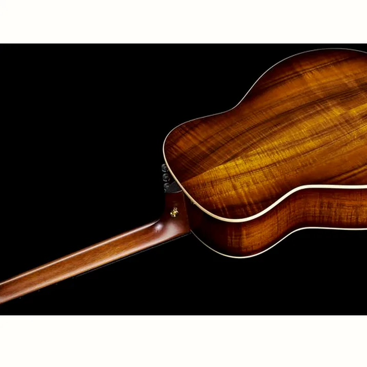 Taylor GT K21e