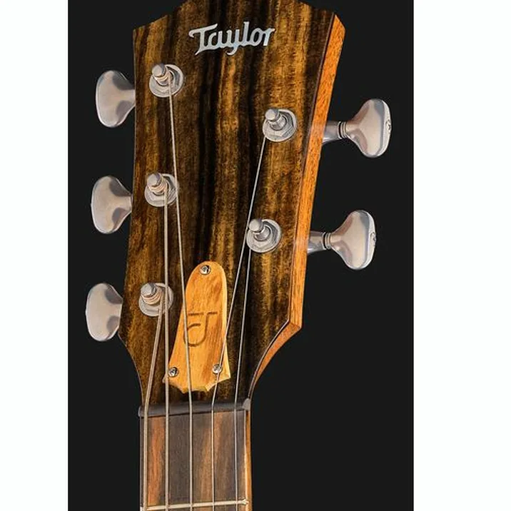 Taylor Jacob Collier Sign. JCSM-5