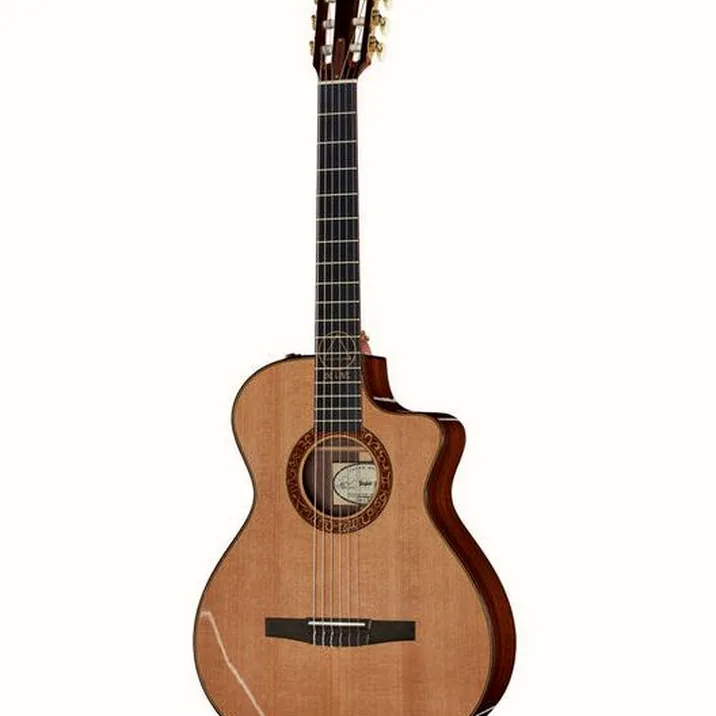 Taylor Jason Mraz Signature