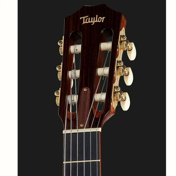 Taylor Jason Mraz Signature