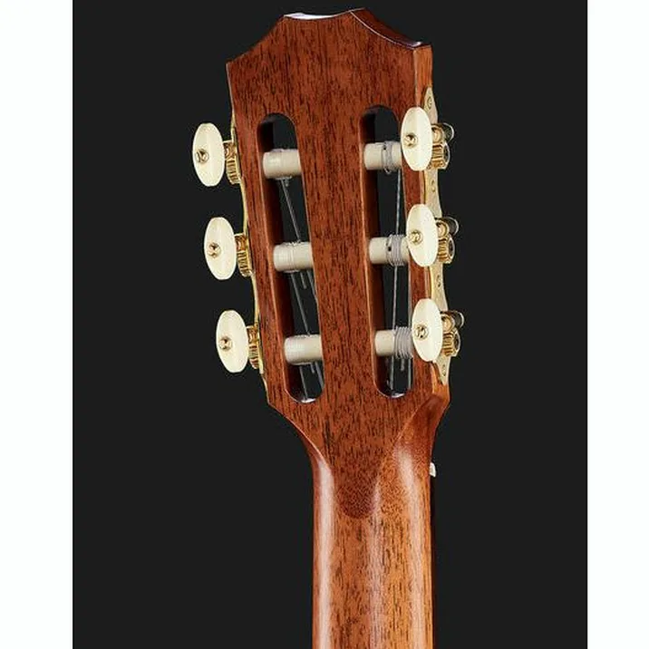 Taylor Jason Mraz Signature