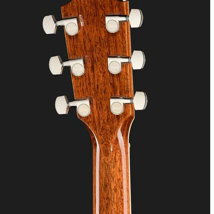 Taylor Legacy 810e Special Edition HB