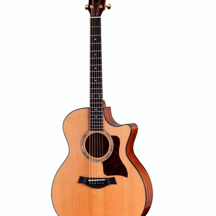 Taylor Legacy Edition 514ce