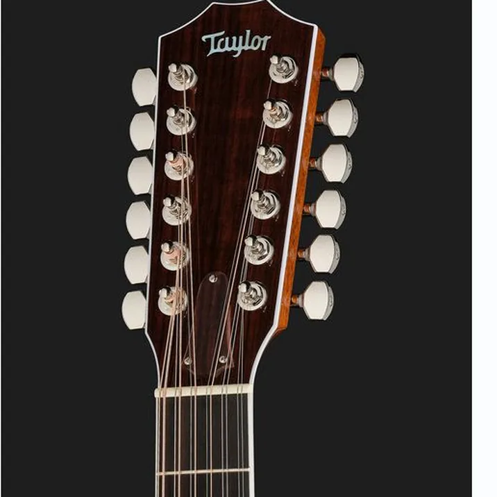 Taylor Legacy Edition 855e