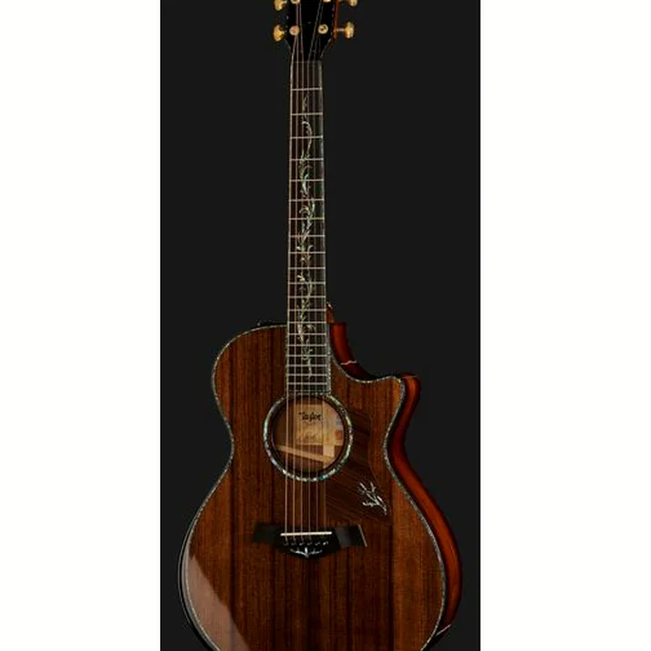 Taylor PS12ce 12 Fret Honduran RW