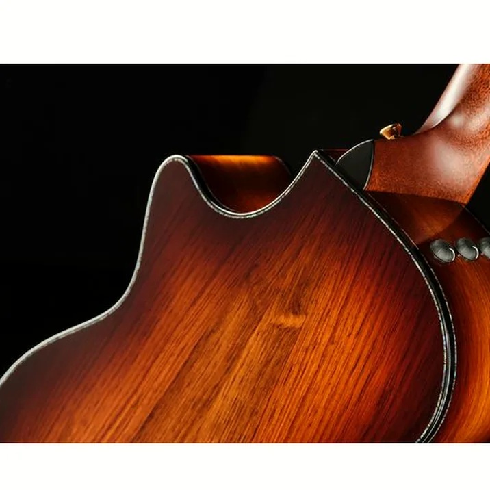 Taylor PS12ce Honduran Rosewood